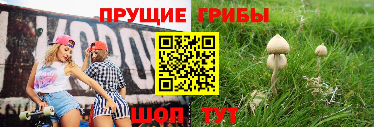 Севастополь  Галлюциногенные грибы мухоморы  Галлюциногенные грибы ЛСД  Вход с VPN 